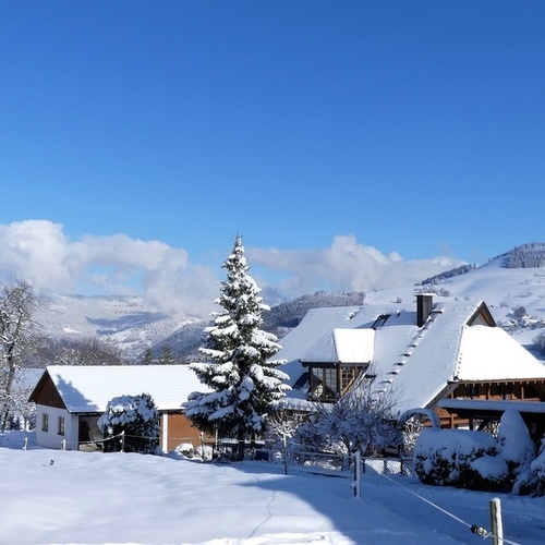 Landhaus Wiesentalblick auf dem Marterer-Hof - 