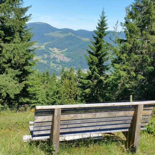 Blick auf Schönenberg - 